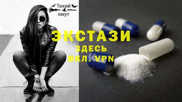 шишки Горняк