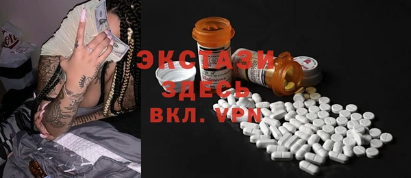 шишки Горняк