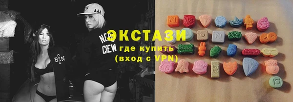 шишки Горняк