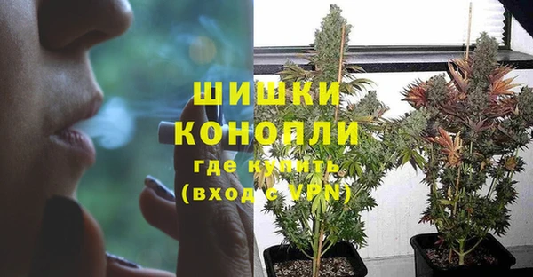 шишки Горняк