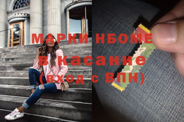 шишки Горняк