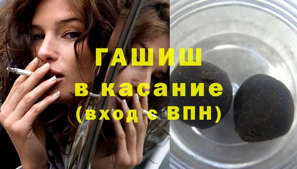 шишки Горняк