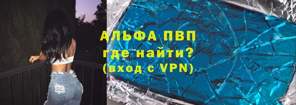 шишки Горняк