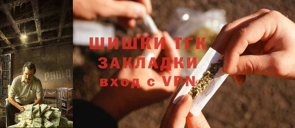 шишки Горняк