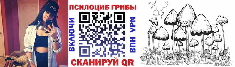 Купить где  Осташков  Псилоцибиновые грибы мухоморы 